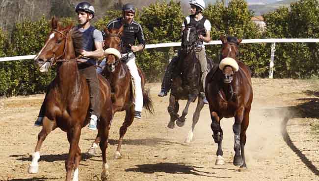 Corse di addestramento dei cavalli da Palio a Monticiano il 24 maggio
